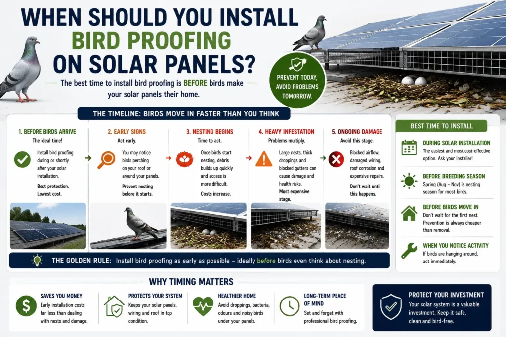 Infographic showing when to install bird proofing on solar panels, including early warning signs, nesting stages and the benefits of acting early.