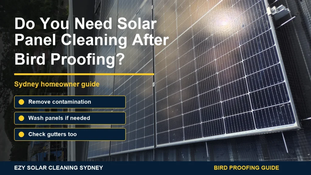 Solar panels with bird proofing mesh on a roof and infographic callouts about cleaning after nest and droppings removal