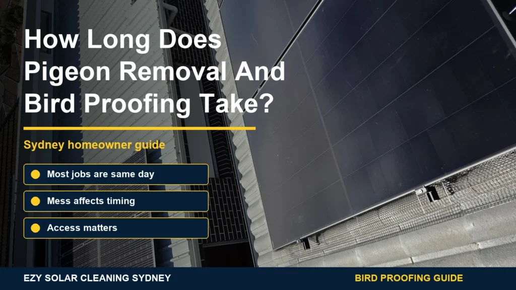 Real solar panel bird proofing installation with mesh and clips and infographic callouts about job timing and cleanup