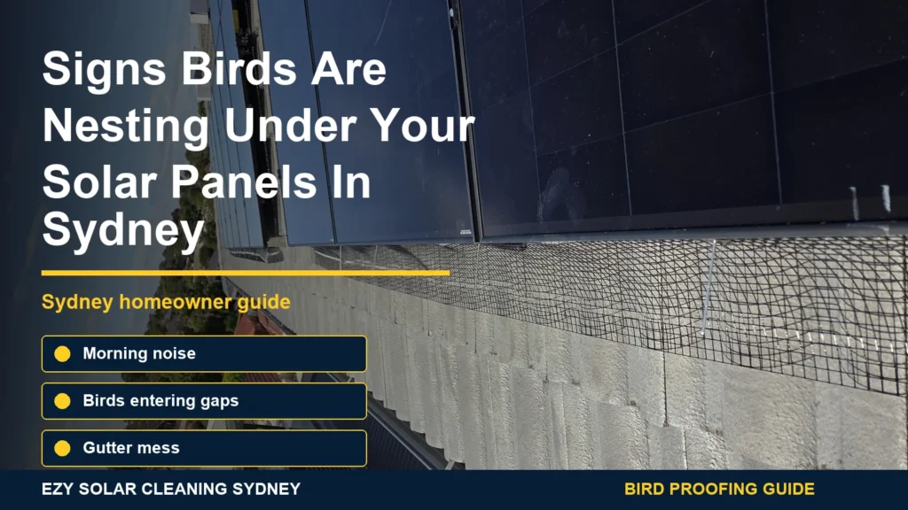 Solar panels on a roof with bird proofing mesh and infographic callouts about signs pigeons are nesting underneath