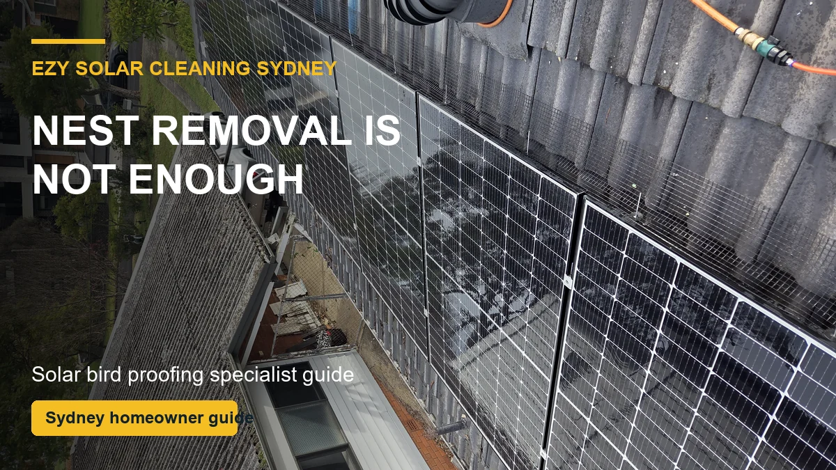 Solar panel bird proofing mesh used to stop pigeons rebuilding nests under panels in Sydney