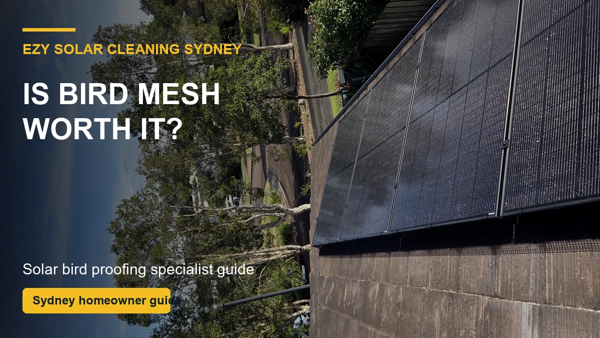 Neat black bird mesh around Sydney solar panels showing a finished bird proofing edge