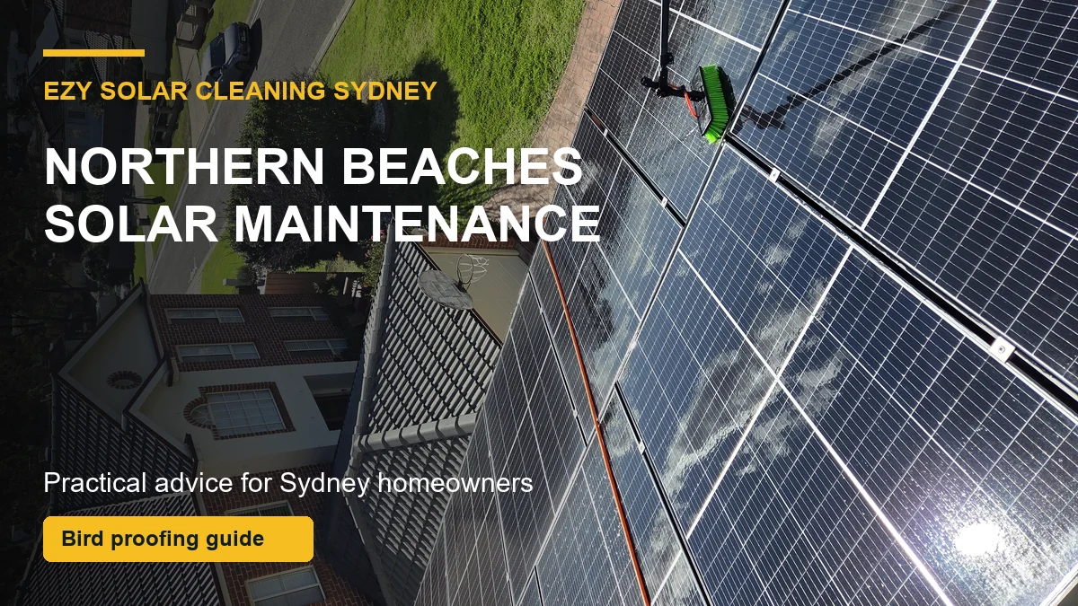 Solar panels on a roof with bird mesh and maintenance callouts for Northern Beaches Sydney homes