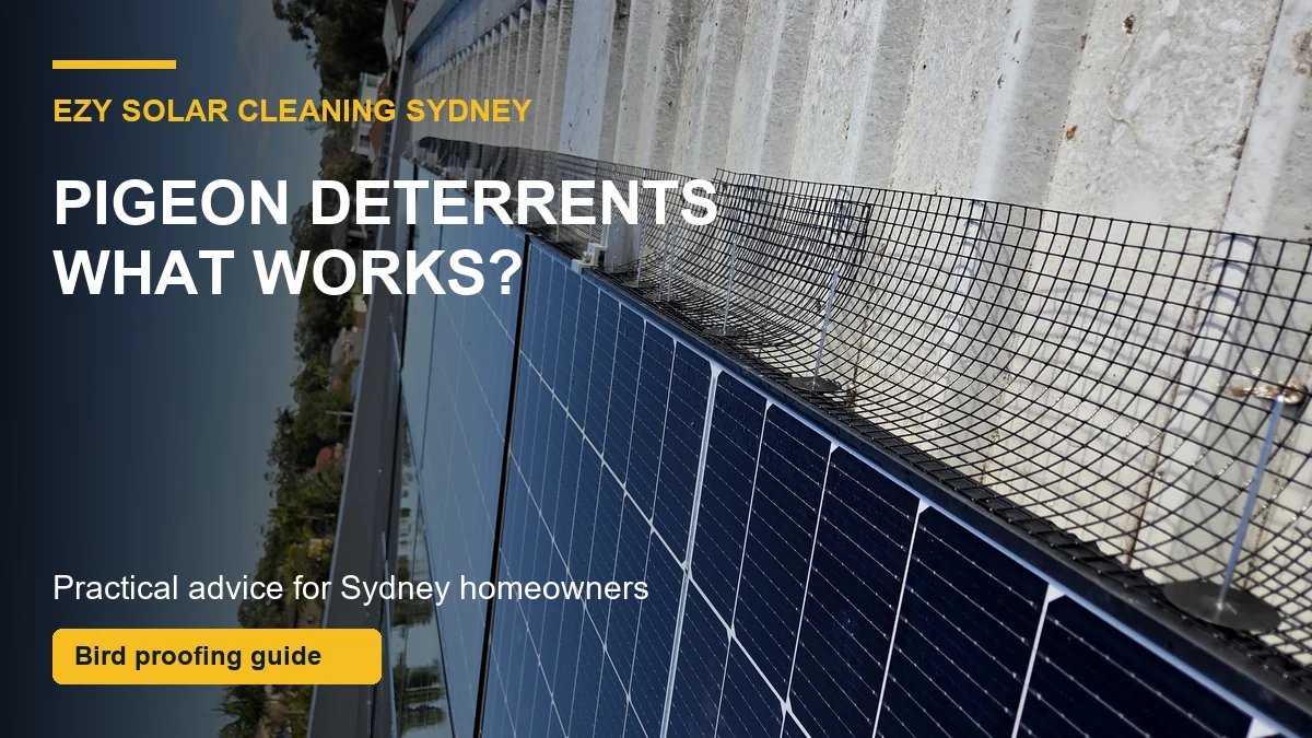 Sydney solar panels with bird mesh fitted around the edges and callouts about pigeon deterrents