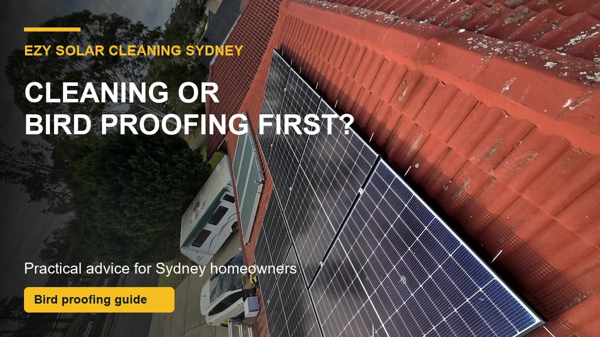 Solar panels with black bird mesh and cleaning callouts showing the order of bird proofing and solar panel cleaning in Sydney