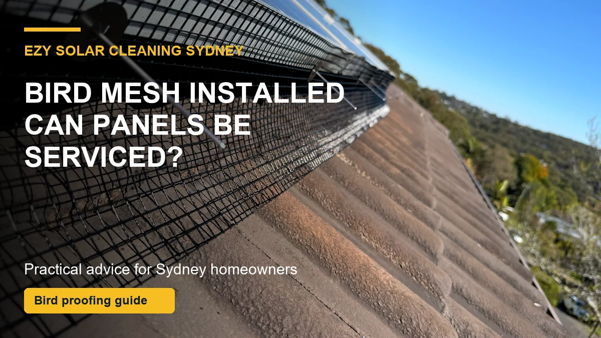 Close-up of completed solar bird mesh and clips showing how the panel perimeter remains accessible for planned servicing