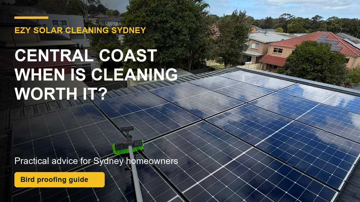 Completed professional solar panel clean showing clear glass and a soft cleaning brush on a residential roof
